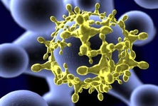 Verem Mikrobu Belirtileri ve Tedavisi