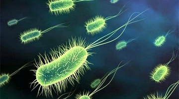 Mikrop Türleri ve Özellikleri