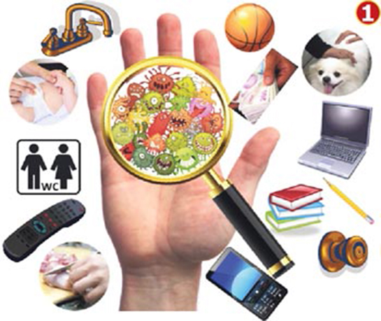 Elimizdeki Mikroplar Nelerdir?