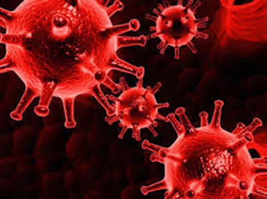 Zatürre Mikrobu Türleri ve Özellikleri